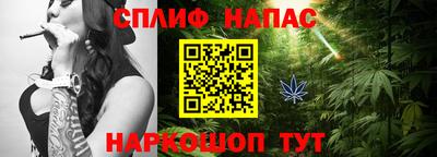 прущие грибы Малгобек