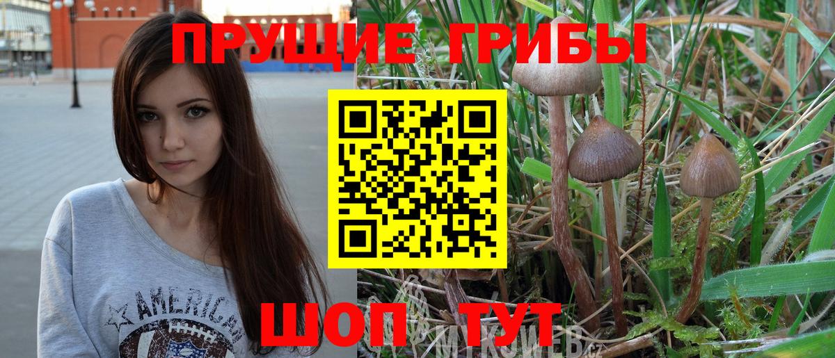 Ступино  Галлюциногенные грибы Psilocybine cubensis  наркотики  Вход с VPN  Псилоцибиновые грибы мицелий 